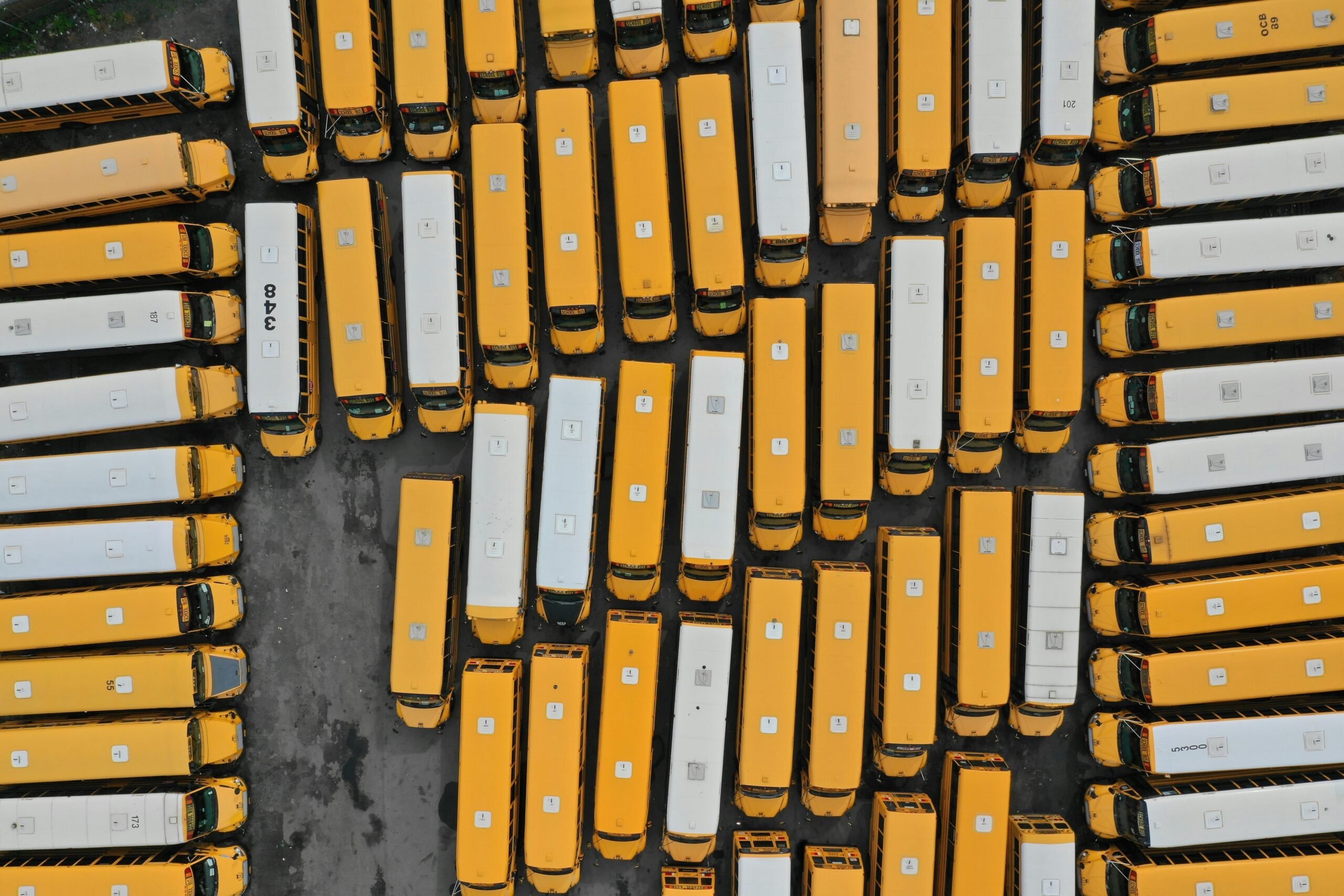 An illustration highlighting the importance of testing tools during free trials.